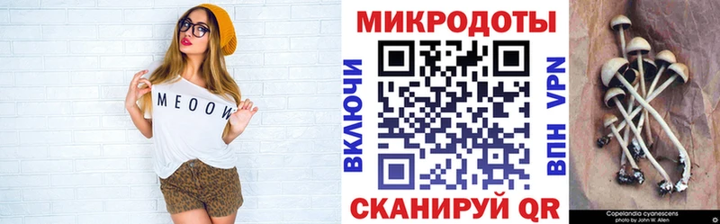 как найти закладки гидра зеркало Псилоцибиновые грибы мицелий Сураж